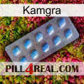 Kamgra viagra3